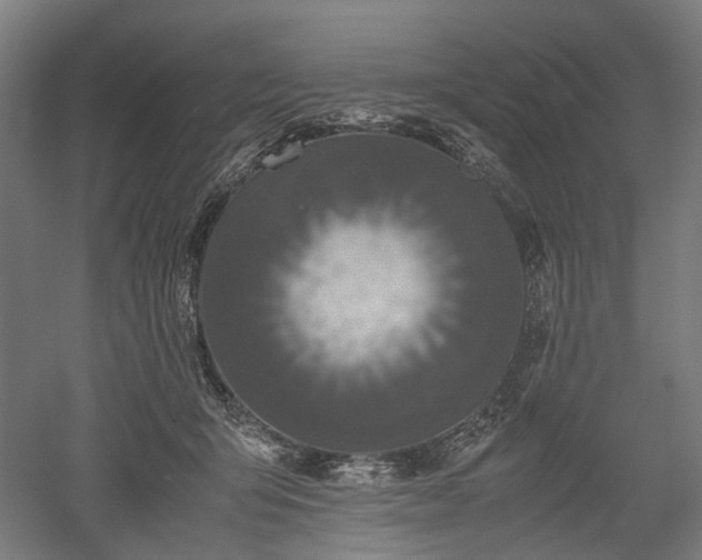 X0000052920415200507151555