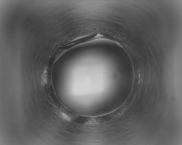 X0000052920416200507151555