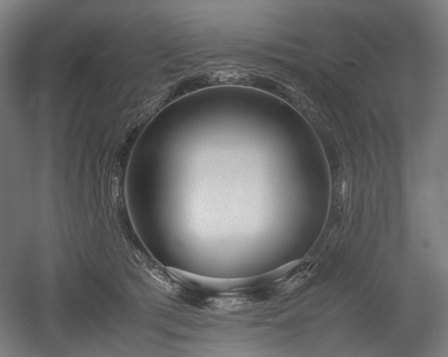 X0000052920417200507151555