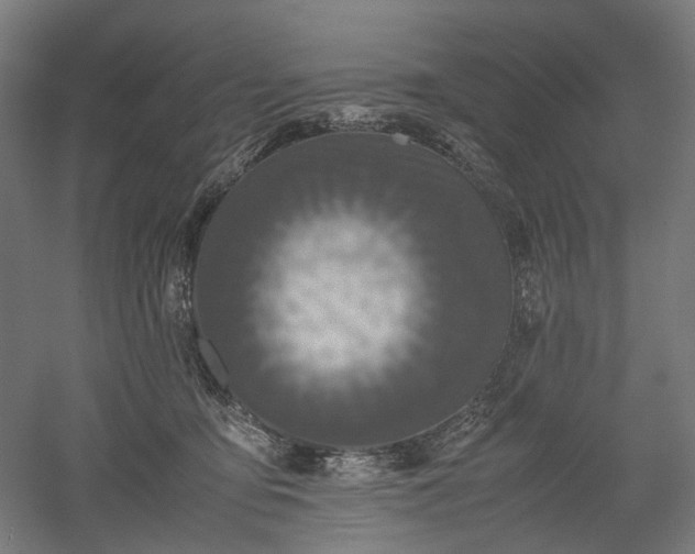 X0000052920419200507151555