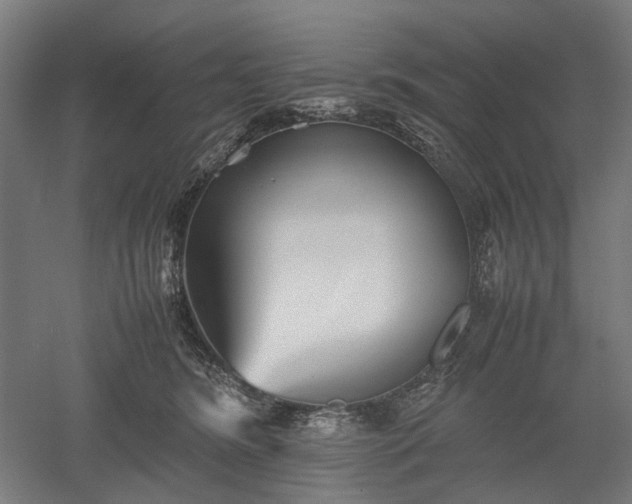 X0000052920420200507151555