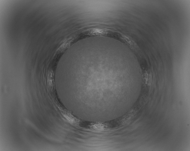 X0000052920423200507151555