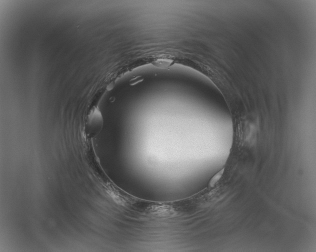 X0000052920424200507151555