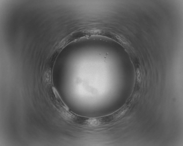 X0000052920425200507151555