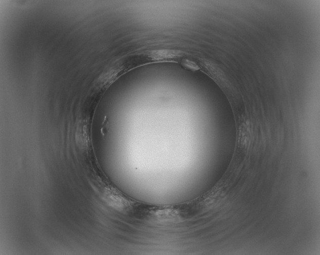 X0000052920426200507151555