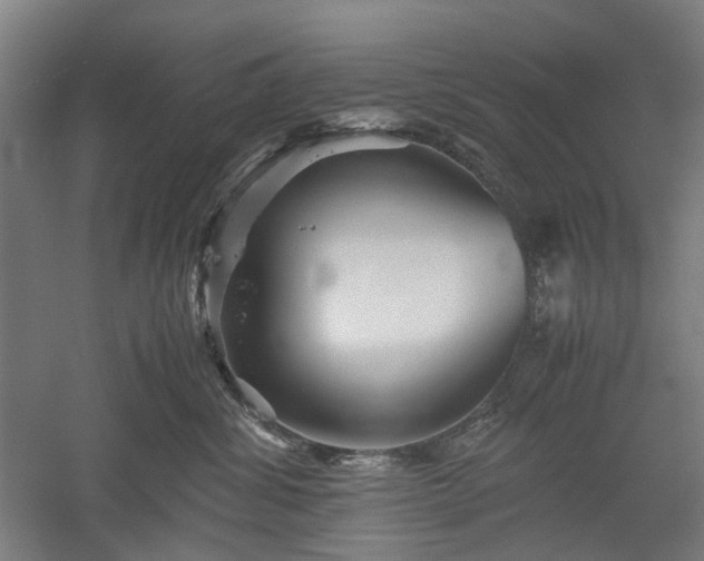 X0000052920428200507151555