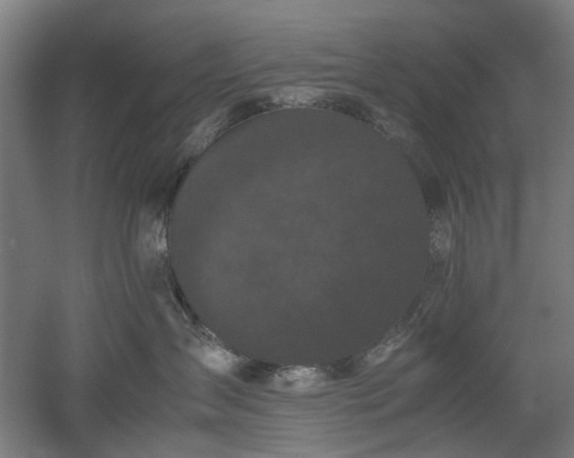 X0000052920431200507151555