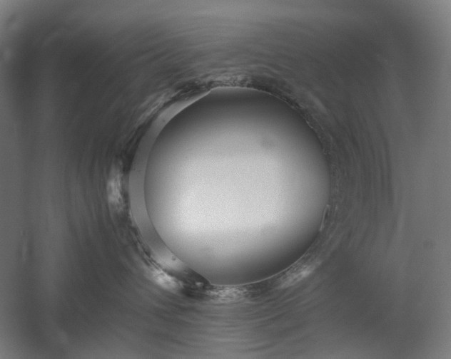X0000052920432200507151555