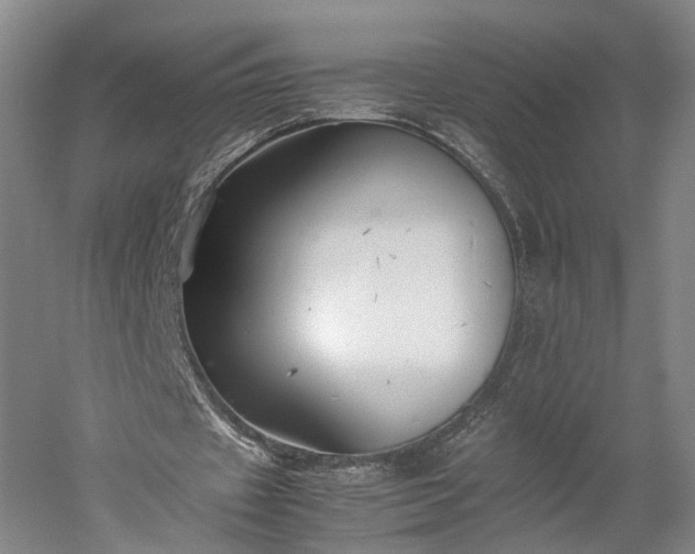 X0000052920433200507151554