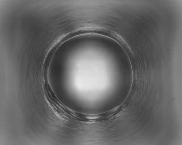 X0000052920436200507151554