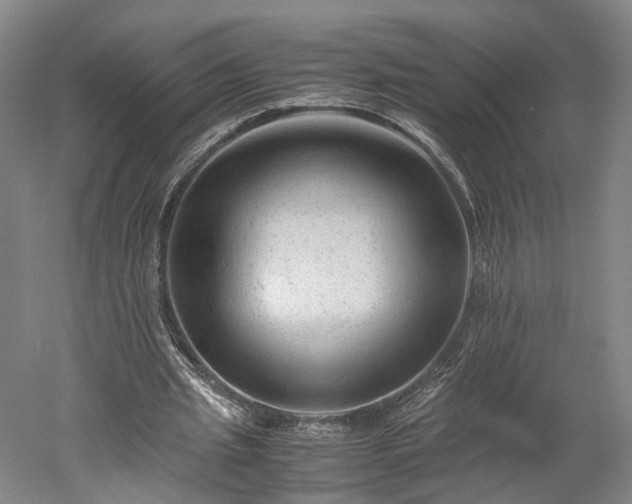 X0000052920437200507151554