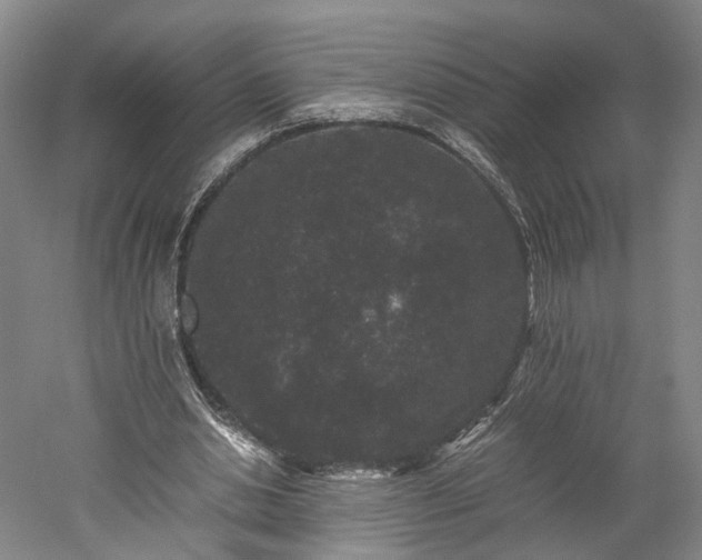 X0000052920438200507151554