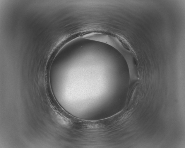 X0000052920439200507151554