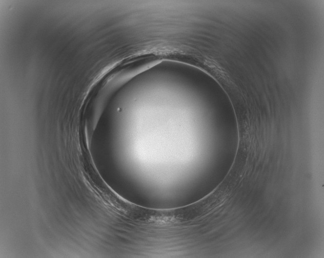 X0000052920440200507151554