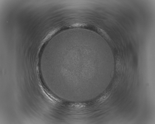 X0000052920443200507151555