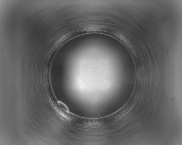 X0000052920445200507151555