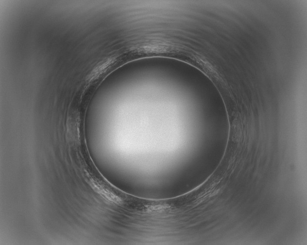 X0000052920446200507151555
