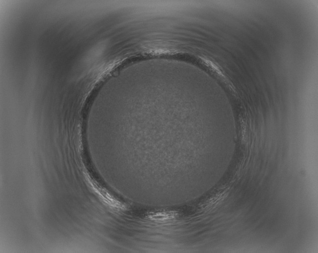 X0000052920447200507151555