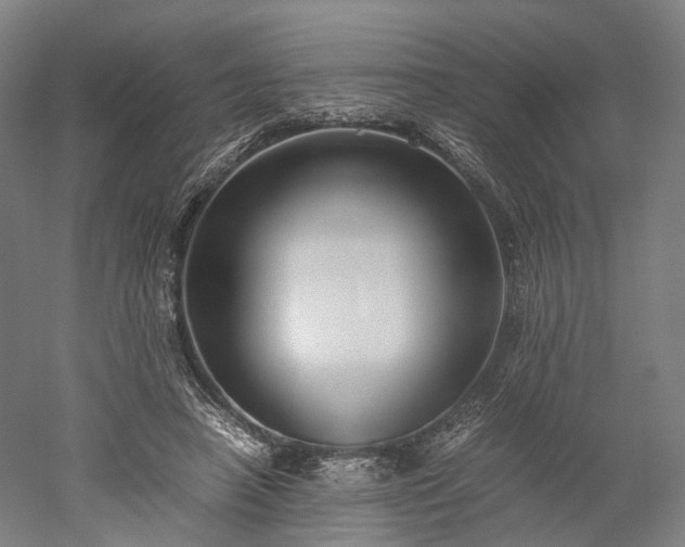 X0000052920450200507151555