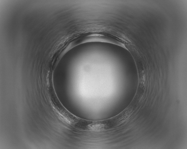 X0000052920452200507151555