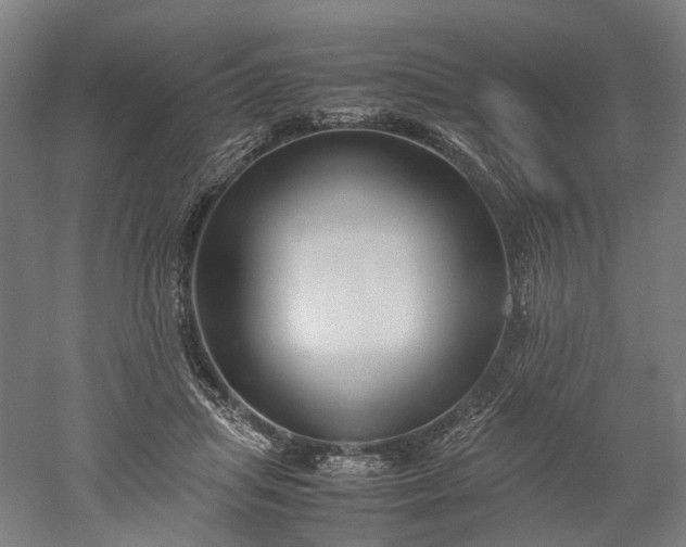 X0000052920455200507151555