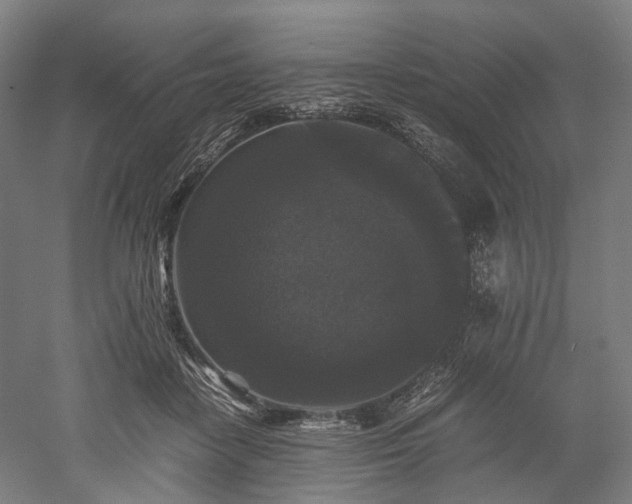 X0000052920458200507151555