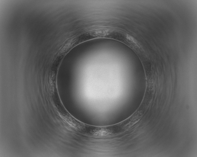 X0000052920460200507151555