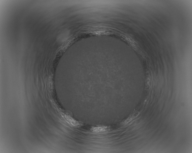 X0000052920461200507151555