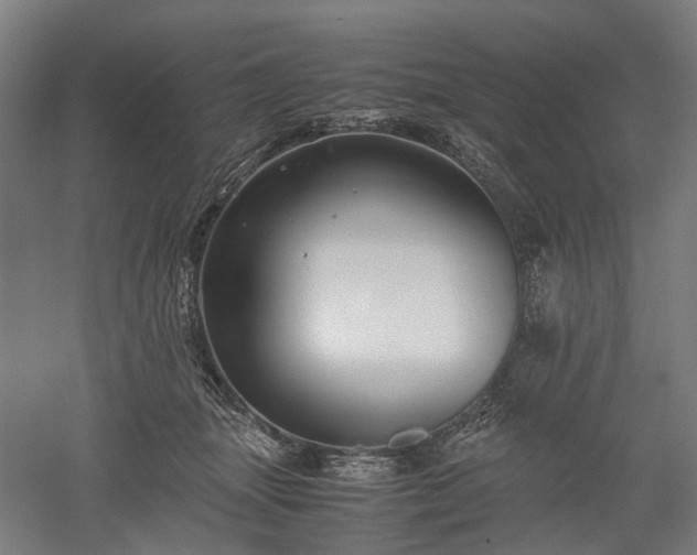 X0000052920463200507151555