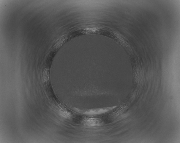 X0000052920467200507151555