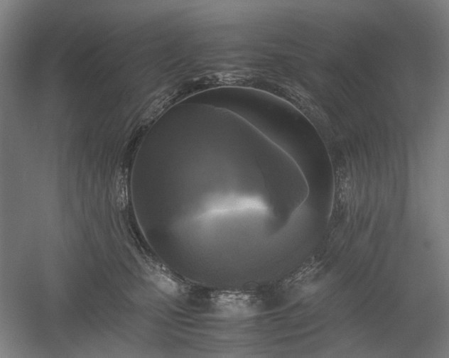 X0000052920471200507151555
