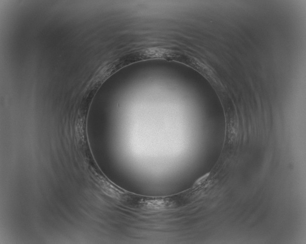 X0000052920473200507151555