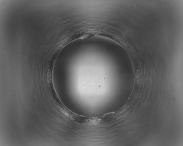X0000052920474200507151555