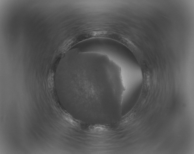 X0000052920475200507151555