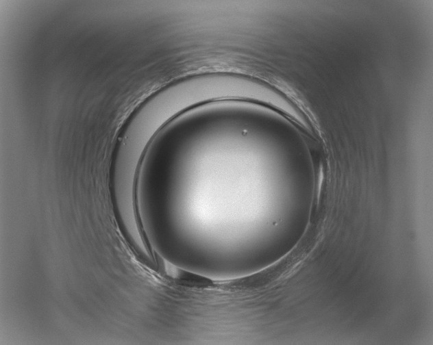 X0000052920481200507151554