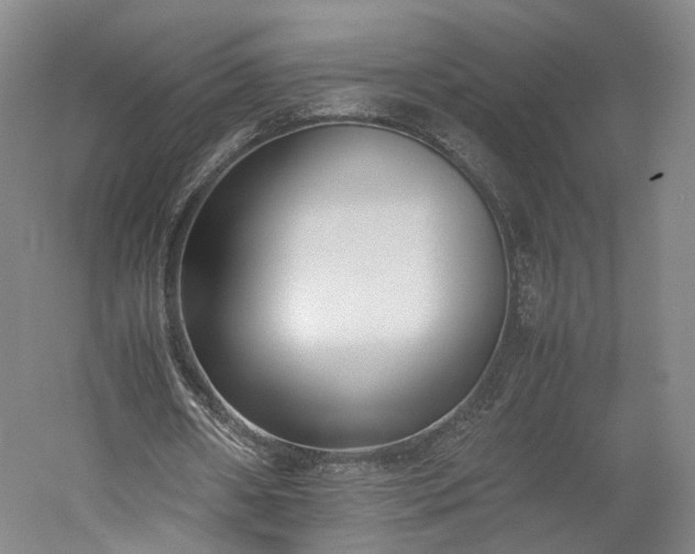 X0000052920482200507151554