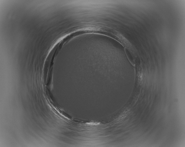 X0000052920484200507151554