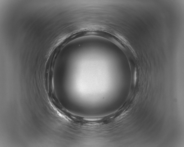 X0000052920485200507151554