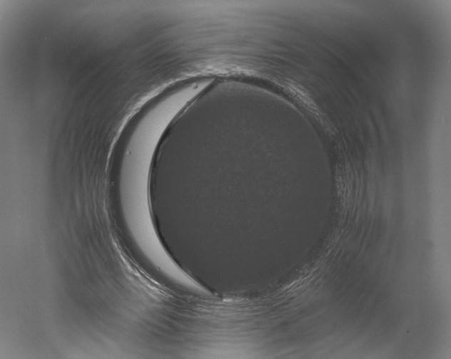 X0000052920488200507151554