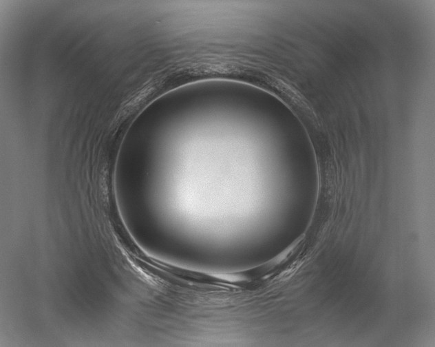 X0000052920489200507151554