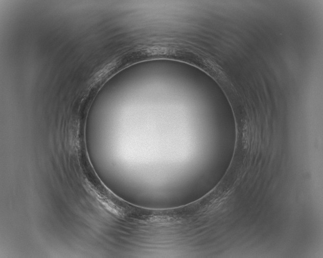 X0000052920490200507151554