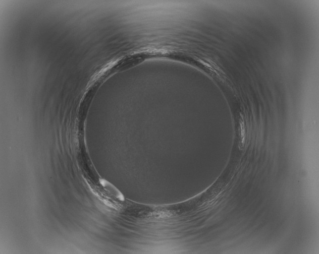 X0000052920492200507151554