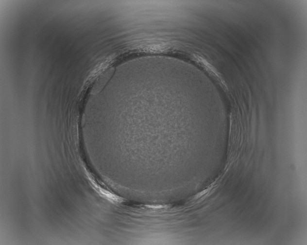 X0000052920493200507151554