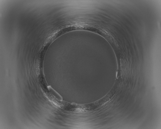 X0000052920496200507151554