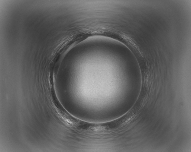 X0000052920501200507151554