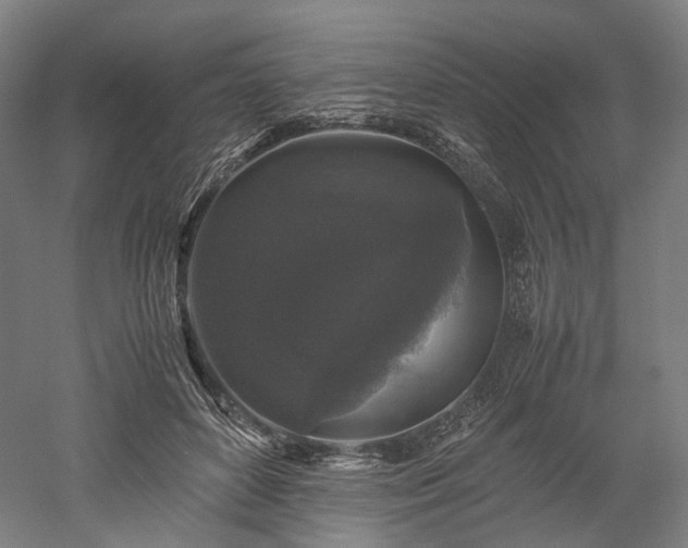 X0000052920504200507151554