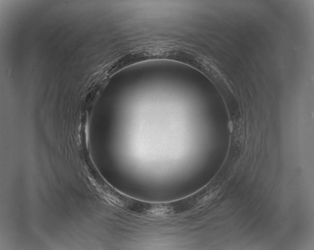 X0000052920505200507151554