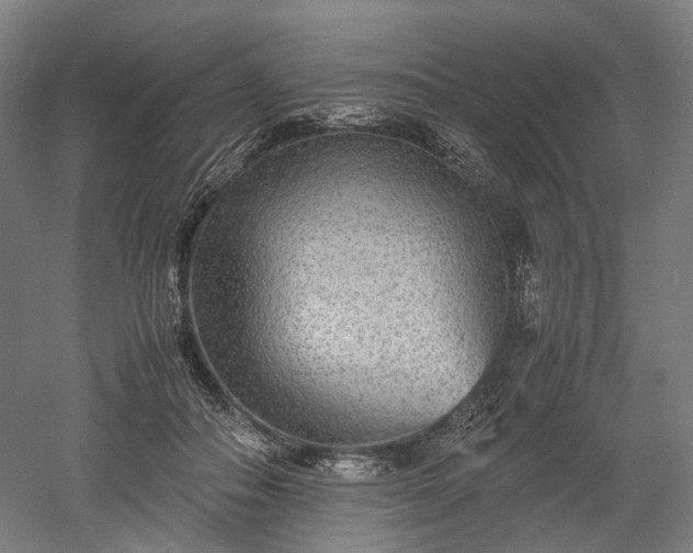 X0000052920506200507151554