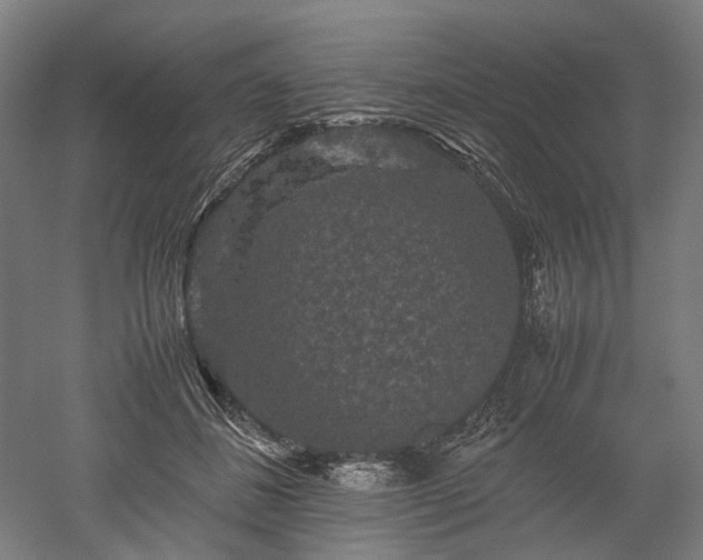 X0000052920508200507151554