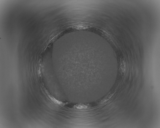 X0000052920512200507151554